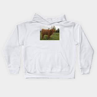 Scottish Highland Cattle Calf 1540 Kids Hoodie